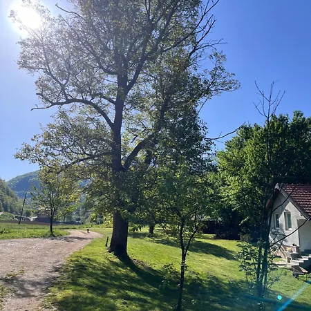 Kod Mikija Apartman